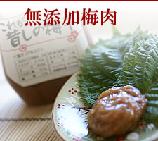 南高梅干通販専門店の無添加の梅肉